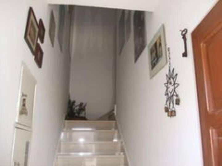 Apartment Biljana Bol Zewnętrze zdjęcie